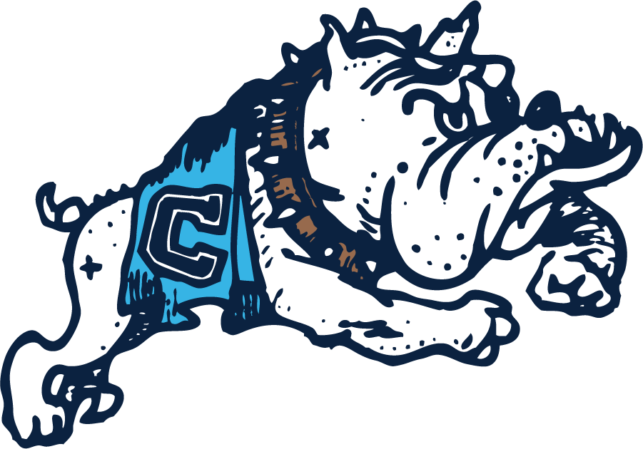 The Citadel Bulldogs 1969-1987 Secondary Logo iron on transfers for T-shirts
